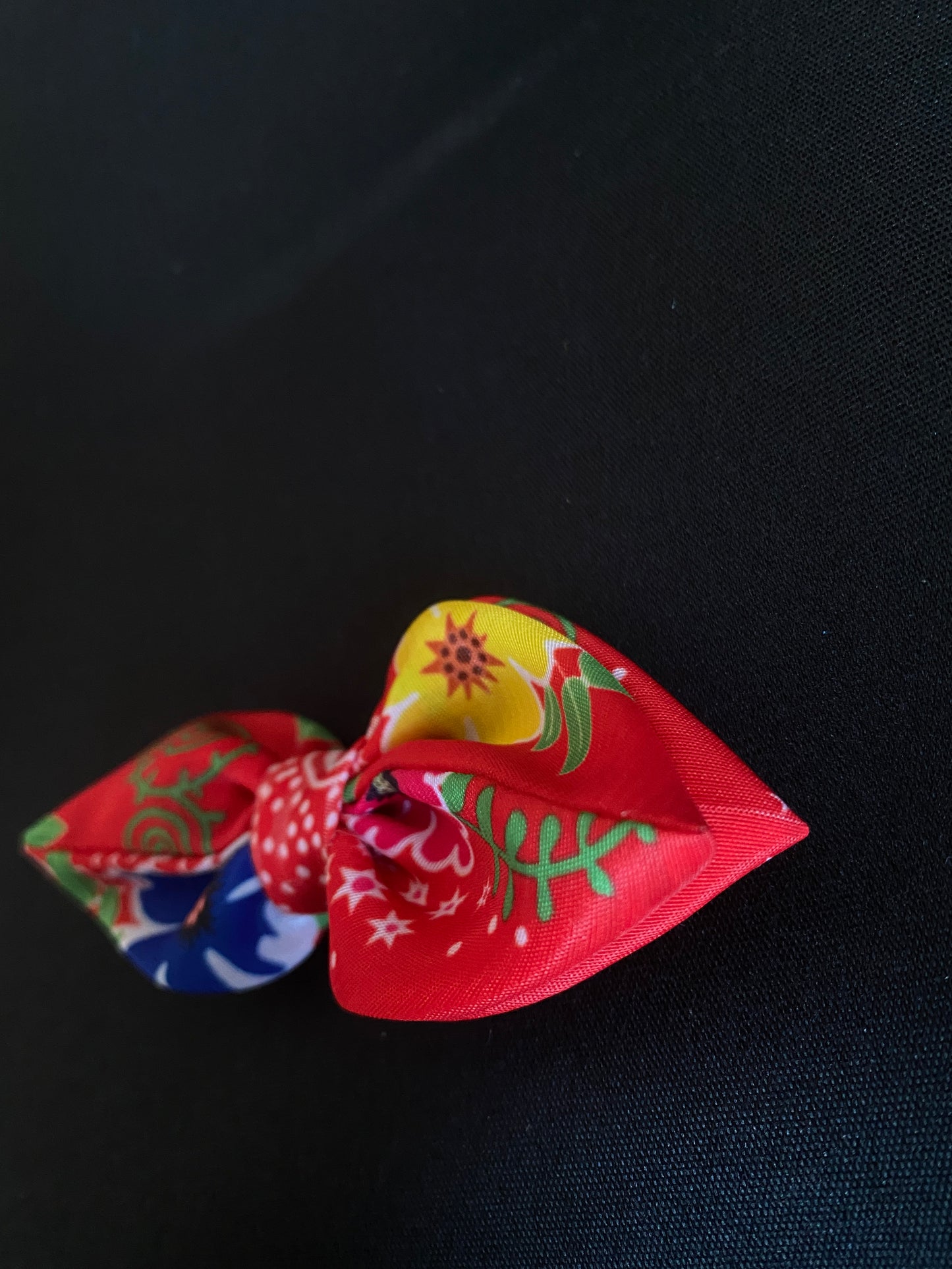 KP75 Hair Clip 2pcs