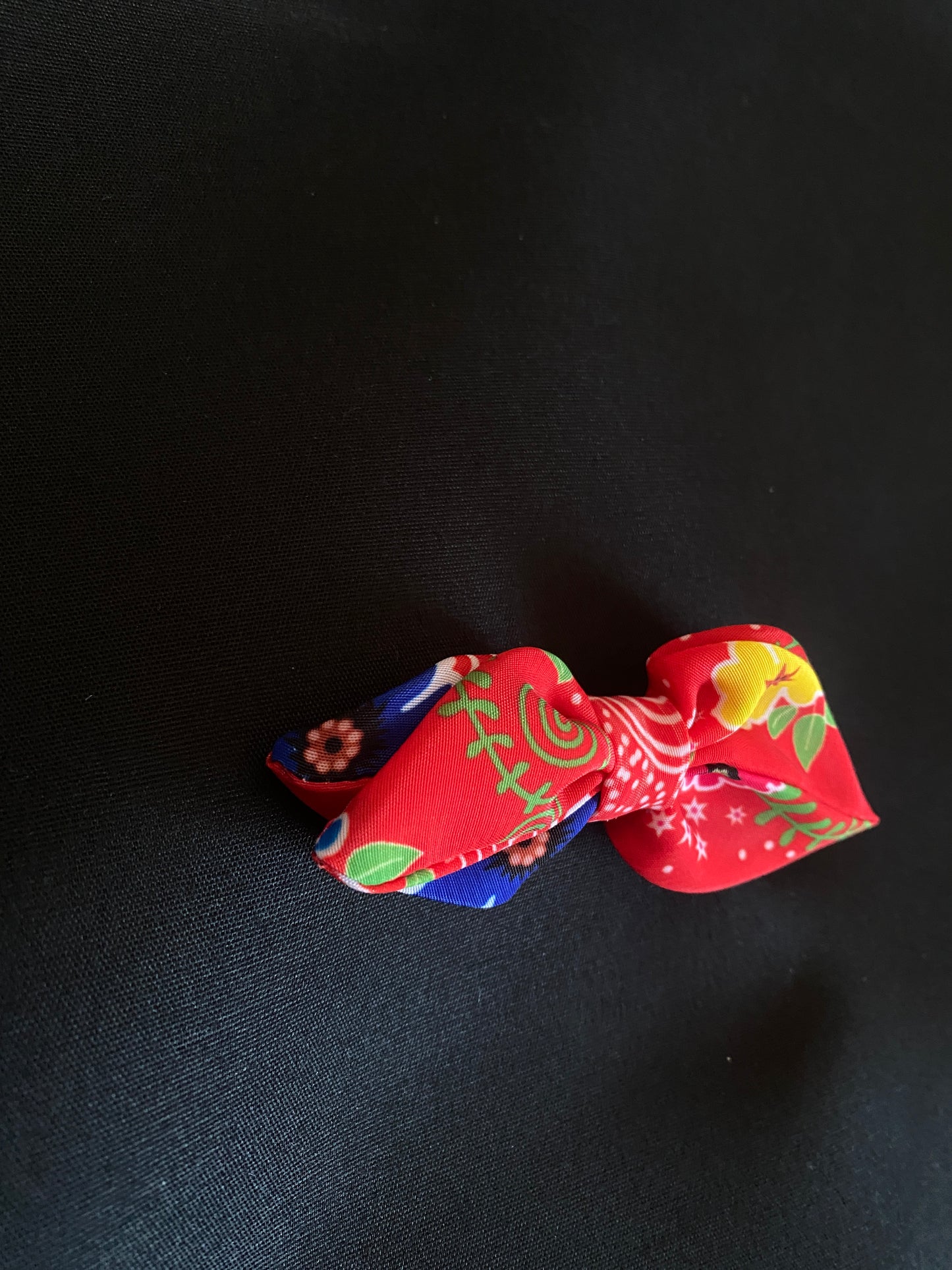 KP75 Hair Clip 2pcs