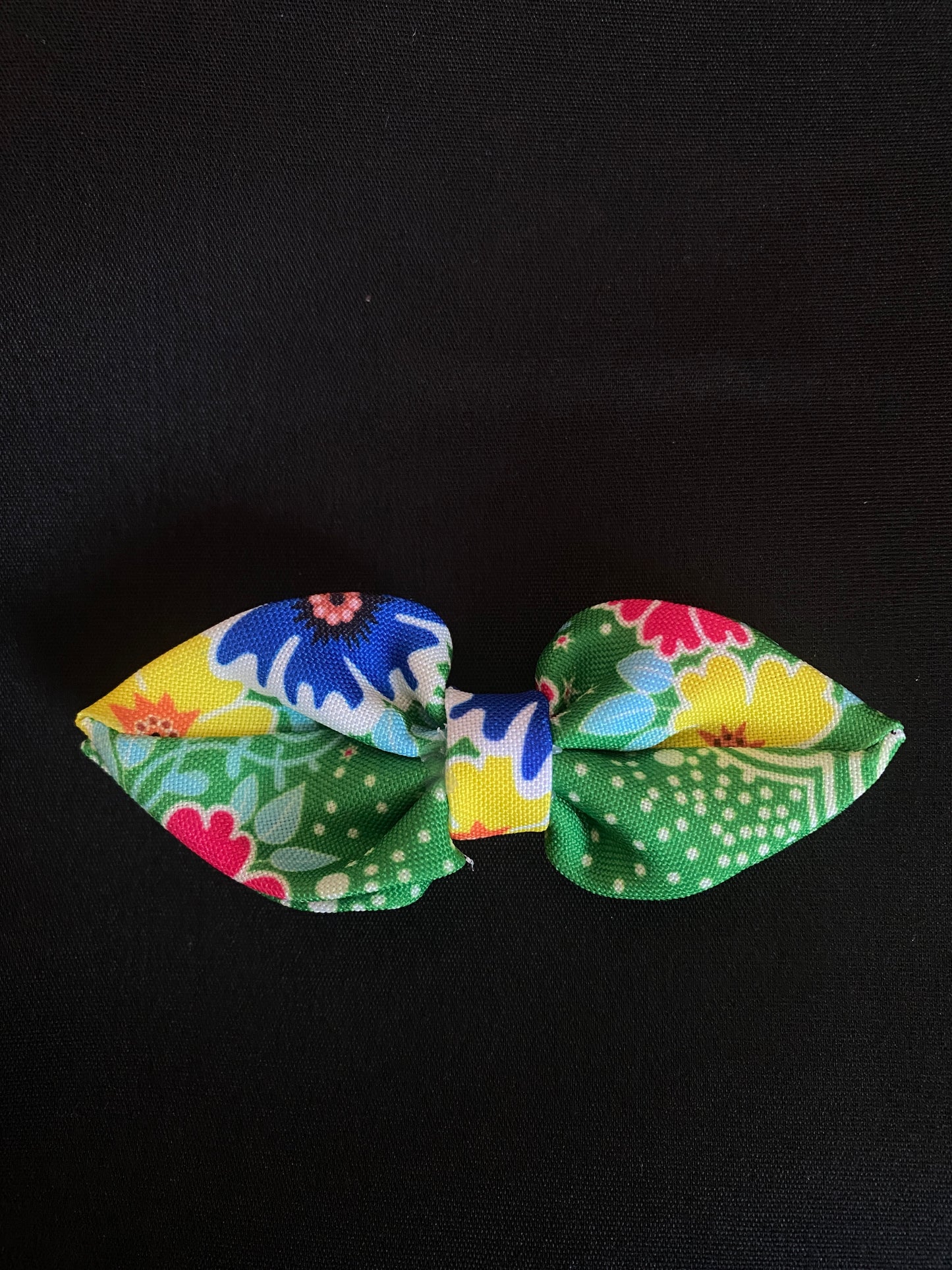 KP76 Hair Clip 2pcs